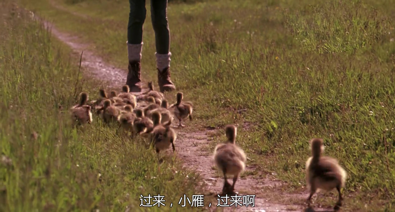 《伴你高飞》豆瓣8.9,温馨治愈的亲情里,深藏着环保理念