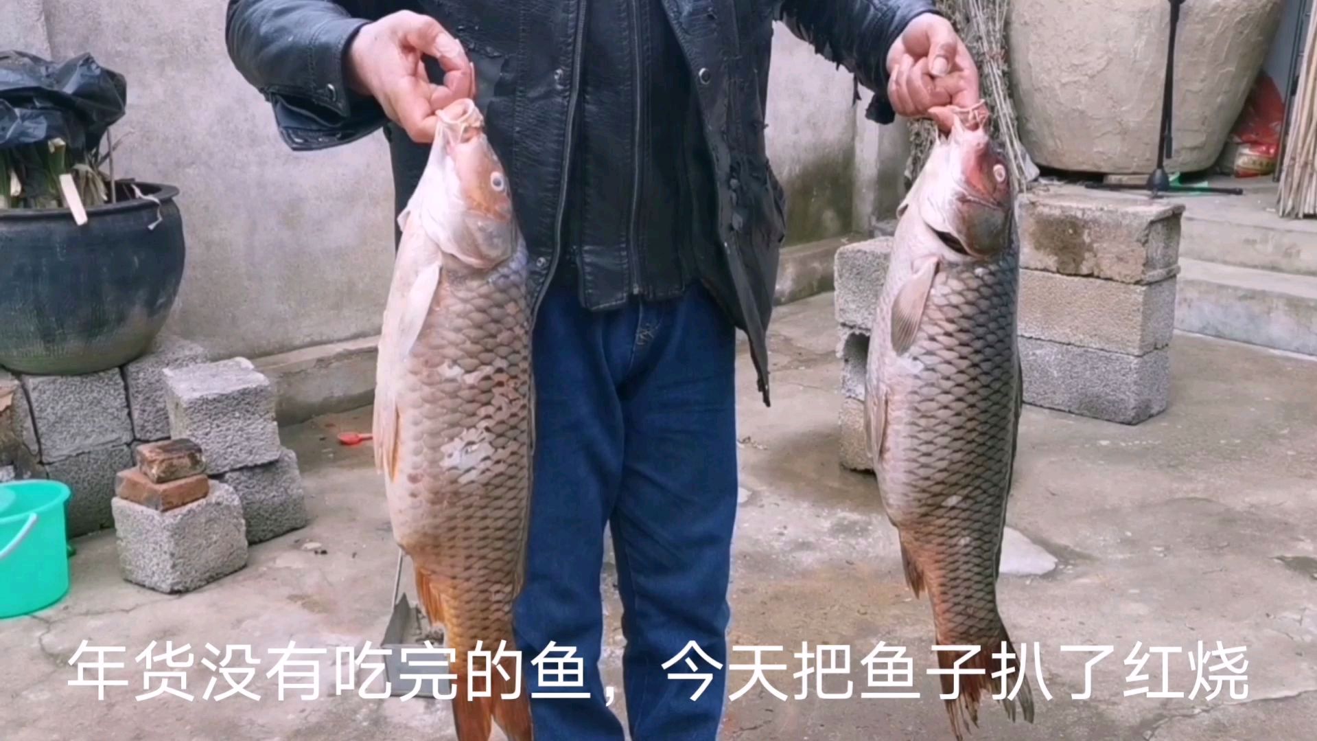 30斤鲤鱼扒出10斤鱼子,准备红烧鱼子吃