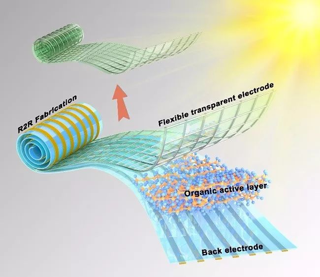 How Seasonal Changes Shape the Real-World Performance of Perovskite Solar Cells