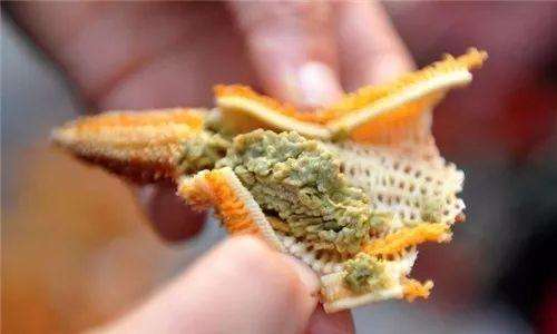 海星吃法有多讲究?渔民切开的一瞬间,肉在哪里?