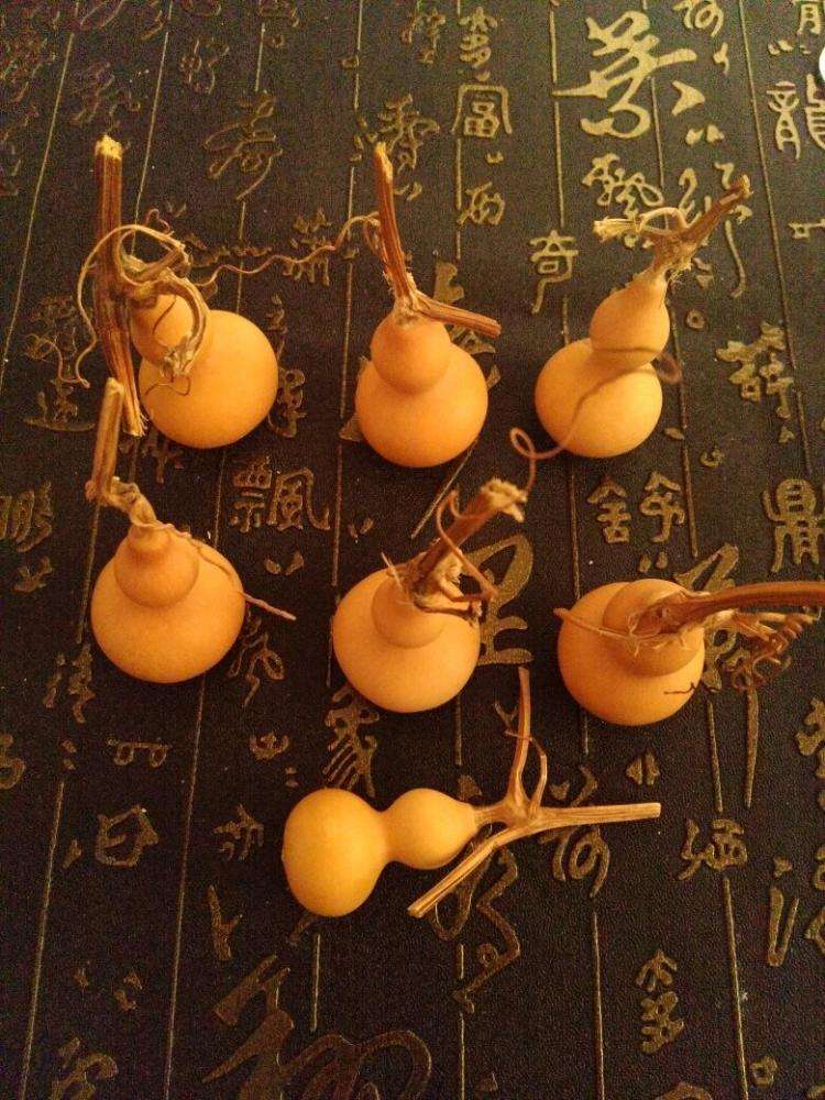 玩手捻葫芦最重要的不是包浆,而是挂瓷儿,文玩葫芦如何挂瓷儿?