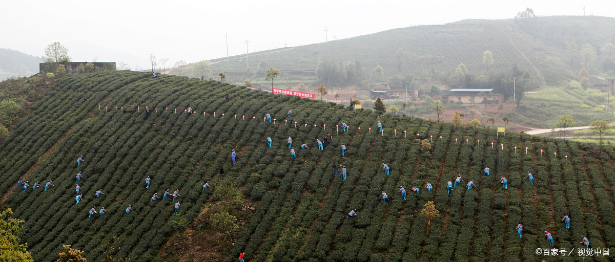 诗经芣苢描写古代丰收人们劳动时的场景