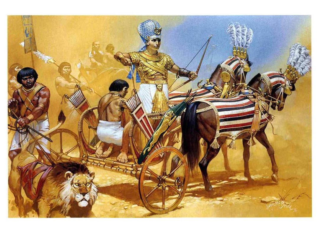 当劳伦斯镇正在遭受焚烧和掠夺时,香农总督写信给萨姆纳上校