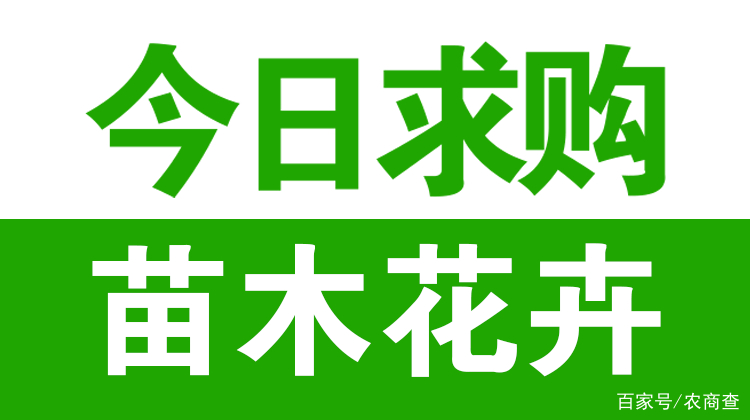 苗木信息网站(苗木在线交易大厅)