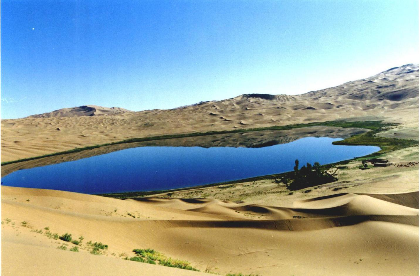 每天叫醒你的不是闹钟而是蚂蚁森林,西北这个景点有你种的树吗?