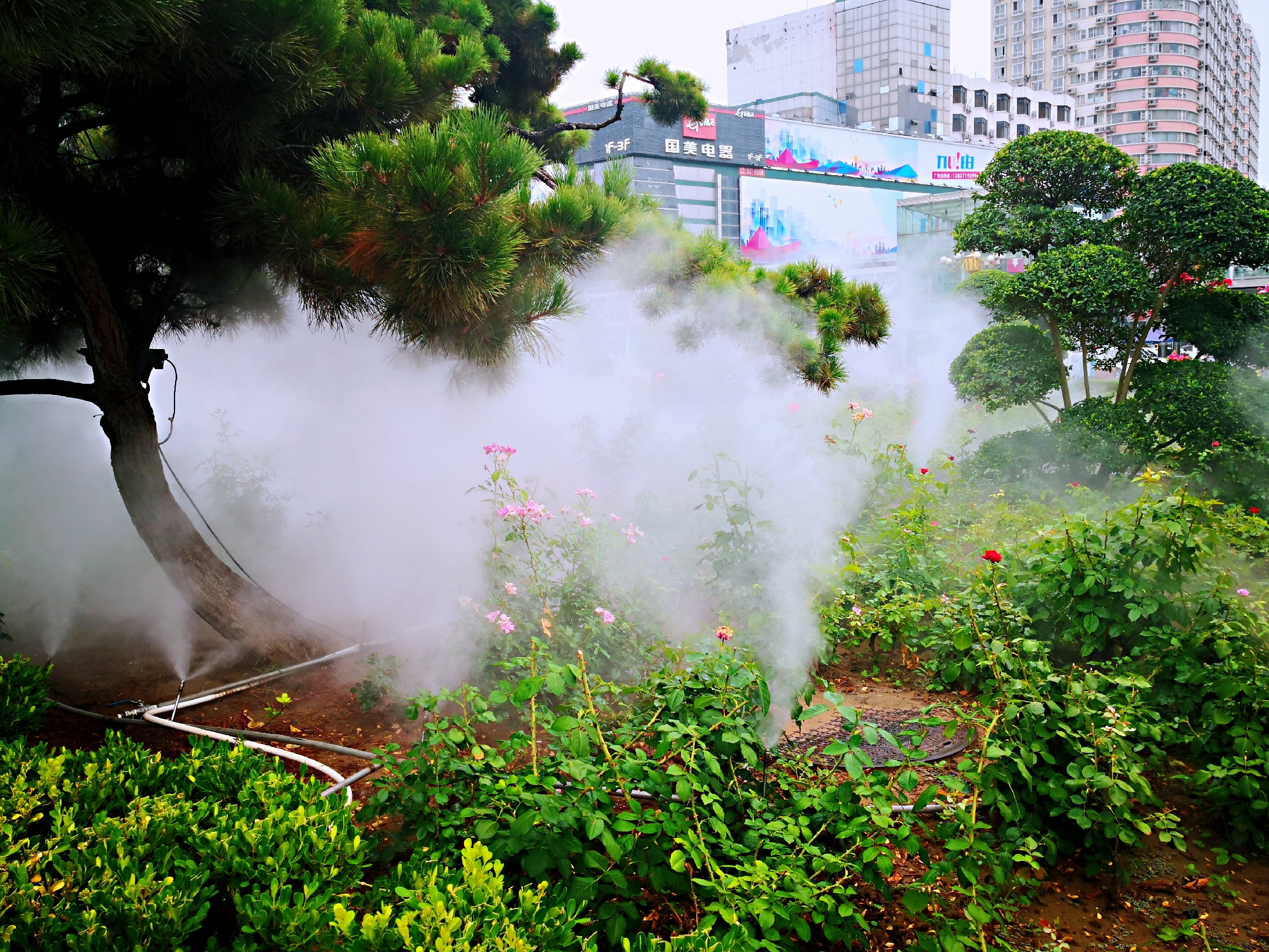 郑州地标建二七广场,夏日里分外妖娆!图为二七塔下的雾森系统.