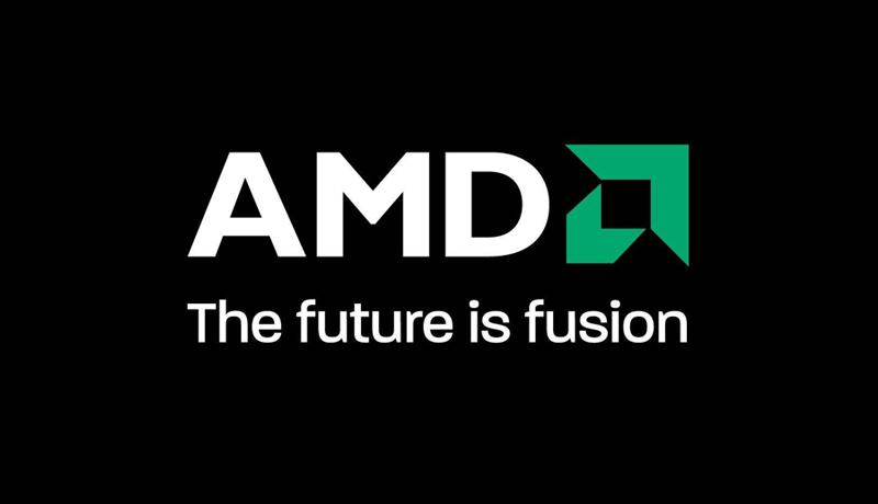 amd全新系列显卡出炉!命名3000系显卡宣战英伟达?