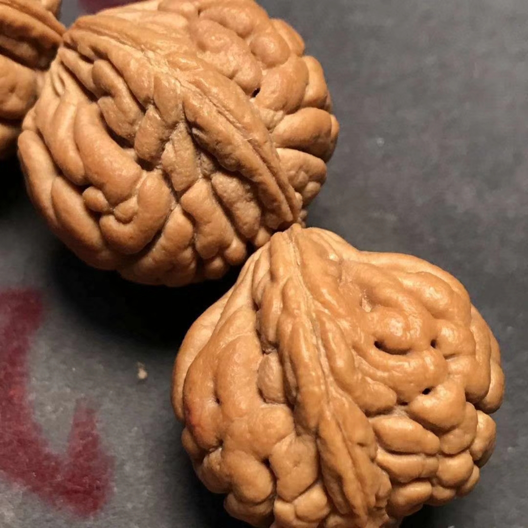 秦岭龙纹桃核霸王龙