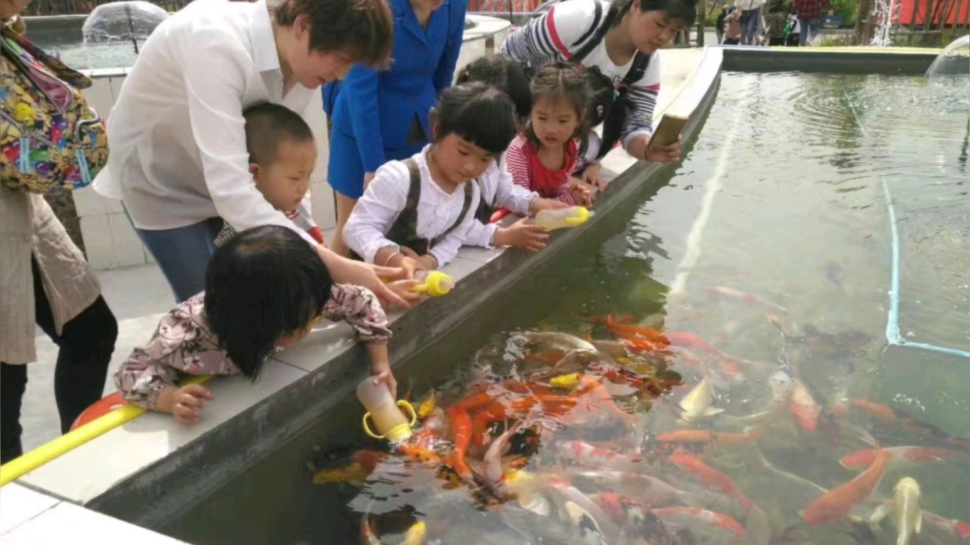 自建鱼池要注意的事项和要点,在东南方自建鱼池要注意的什么?