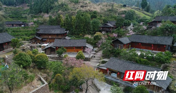 我的美丽乡村③丨老司城:延续八百多年的土司王朝