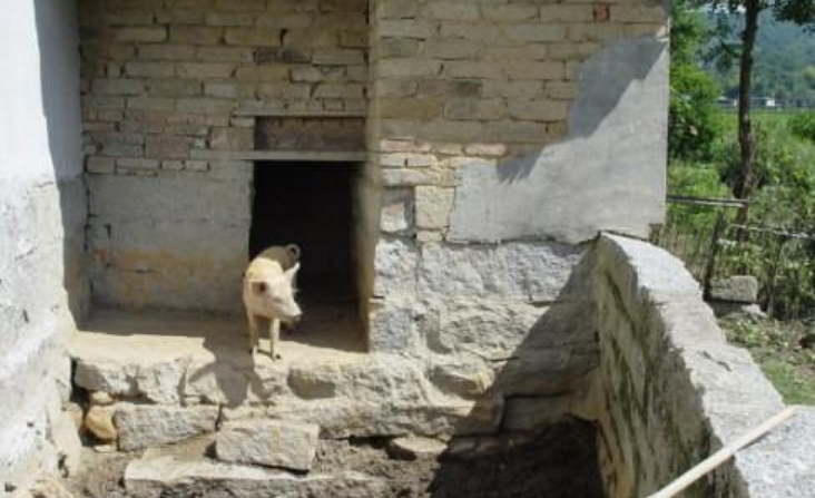 凡是八十年代建的房子,厕所都是建在外面的,厕所为什么会建在房子外面