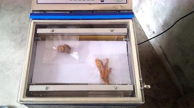 4ab1b01e56b6cdb6823559a61eced63c.jpeg@s_2,w_681,h_381,q_100