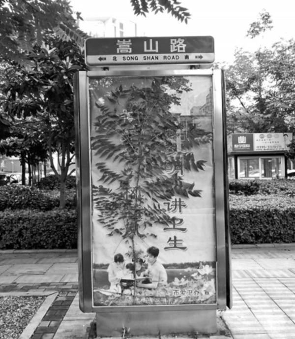 漯河街边出现"树坚强" 瞧,它在路牌灯箱中顽强的生长