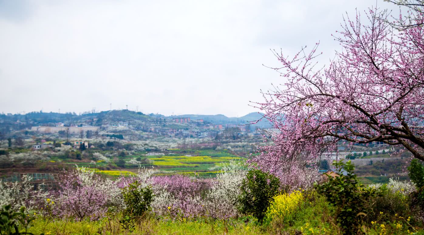 发展乡村旅游,贵州毕节黔西三月好去处