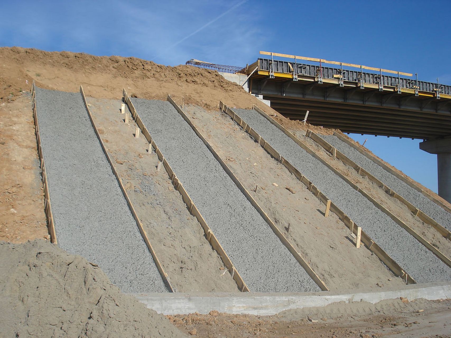 当我看到她有些坡脚的时候,我泪流满面,然后做出了一个决定