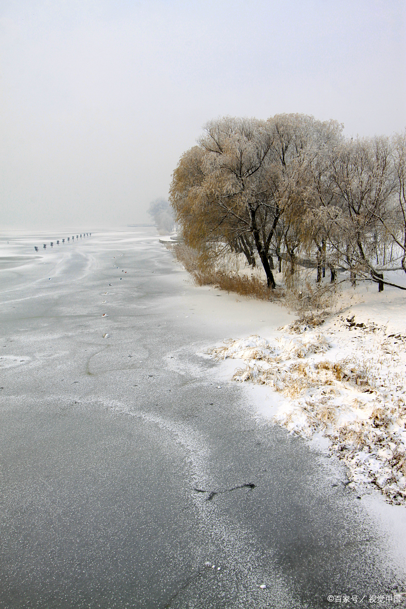 中年人在面对兄弟姐妹关系的变化时,需要从心理学的角度进行调适