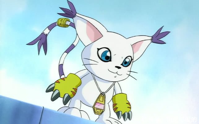 数码宝贝:一个天女,一个崩坏!这两只猫咪型进化后都强出天际?