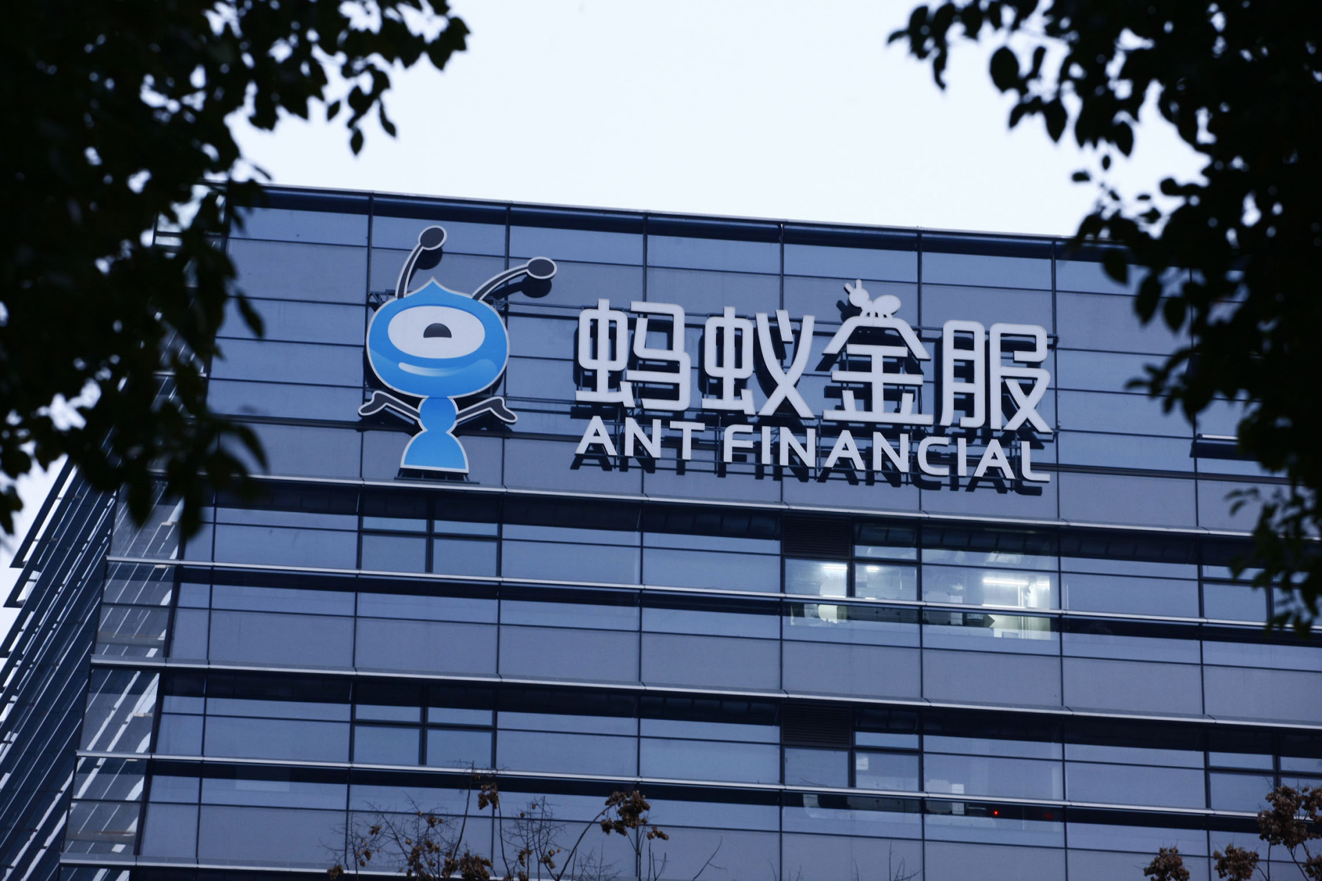 试想一下,假如蚂蚁金服按照金融业监管,把蚂蚁金服的pe也换成金融业的