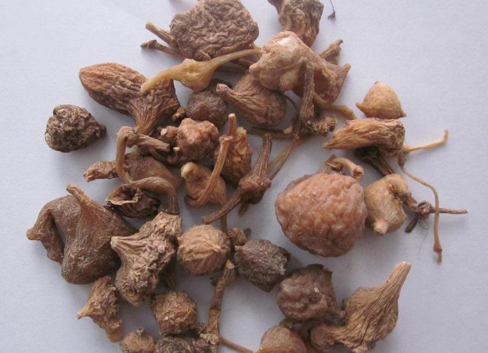 珠子参 - 2020年最新商品信息聚合专区 - 百度爱采购