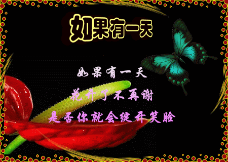 你的看法其实我很在意