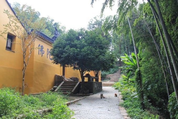 苏州光福潭山徒步游,赏不尽的太湖美