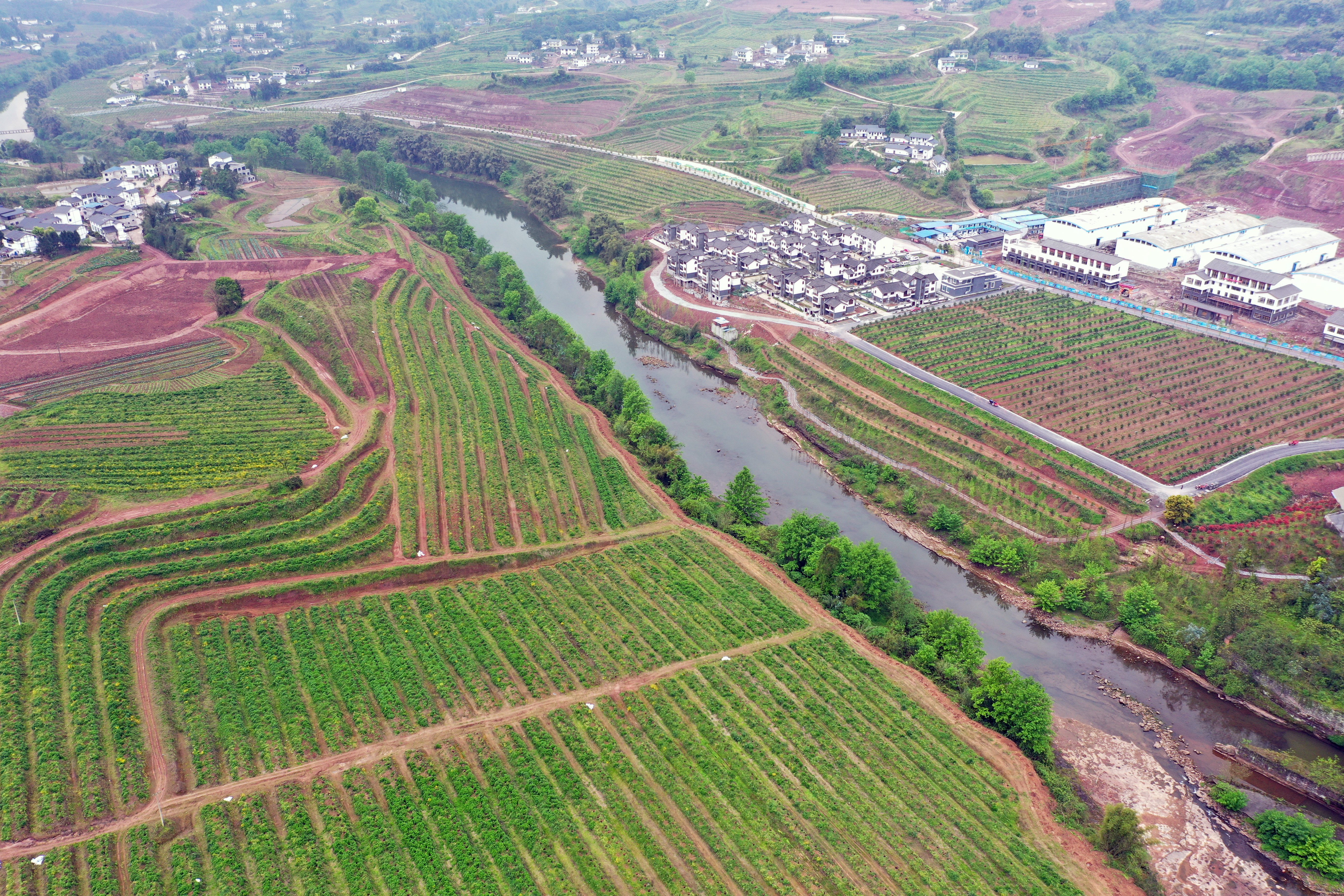 重庆渝北:"双十万工程"探索破解丘陵山区乡村振兴难题