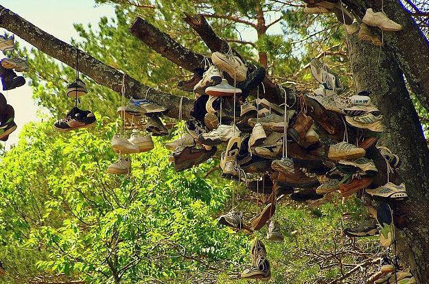 神秘的鞋树,世界各地都流传着不一样的鞋树仪式