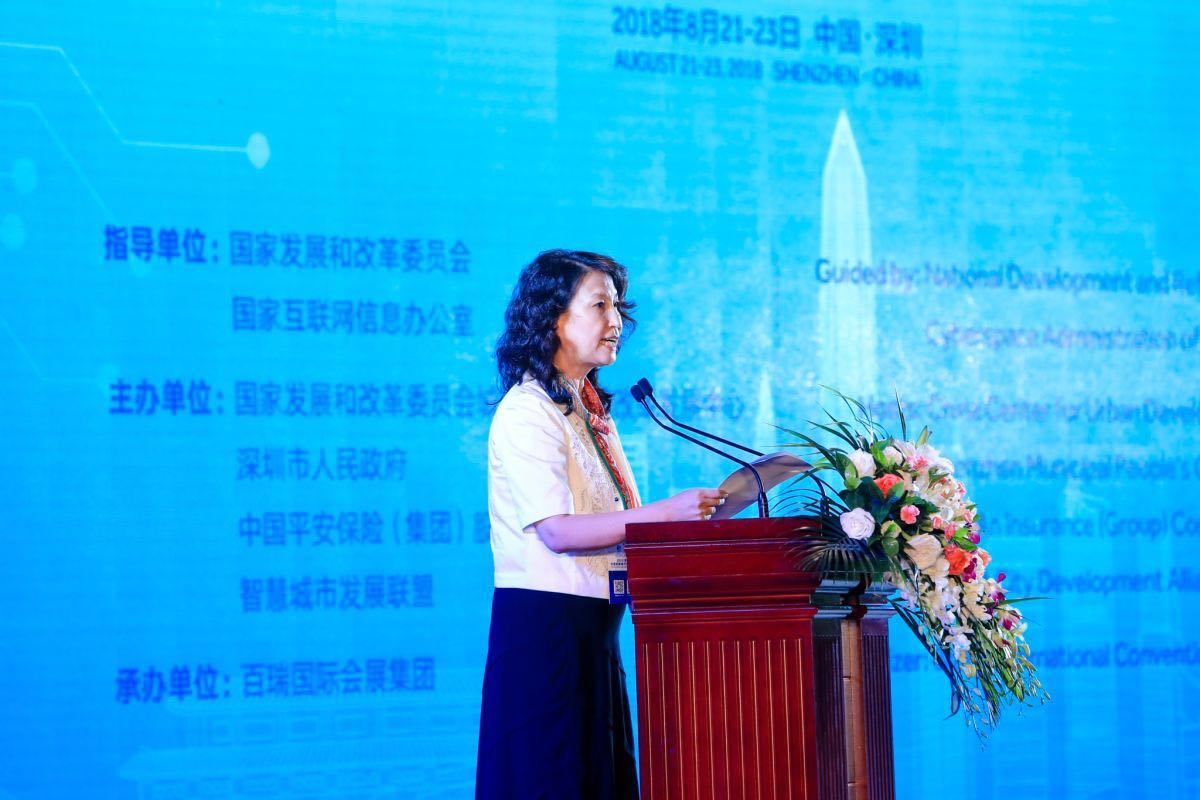 工信部信软司李颖:进一步扩大和升级信息消费 持续释放内需潜力