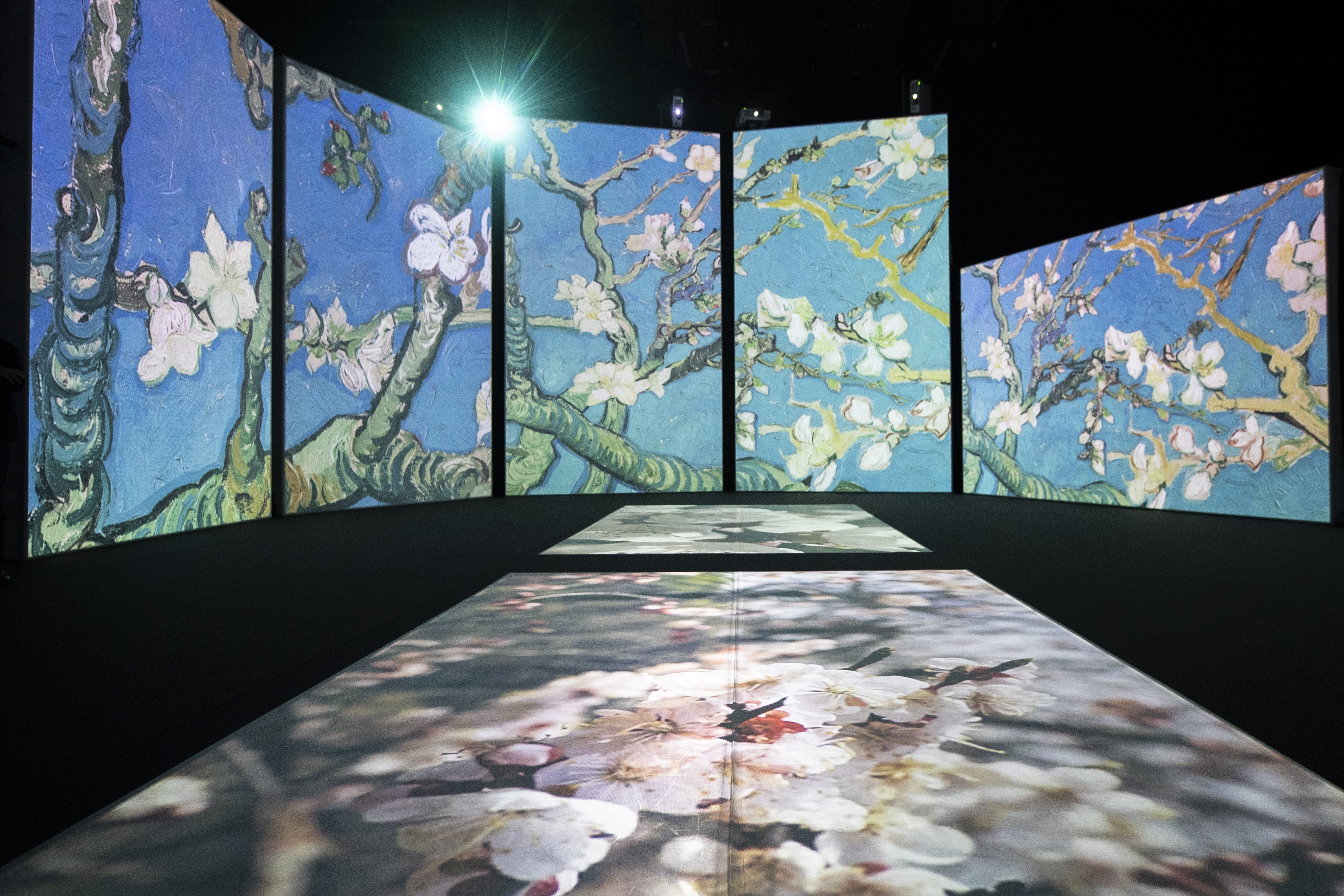 梵高艺术展在苏黎世举行