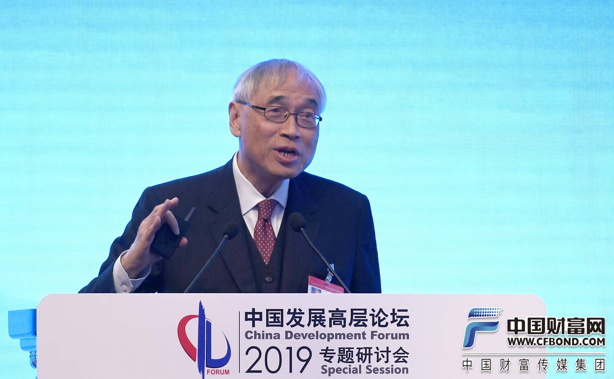 香港中文大学教授刘遵义发言