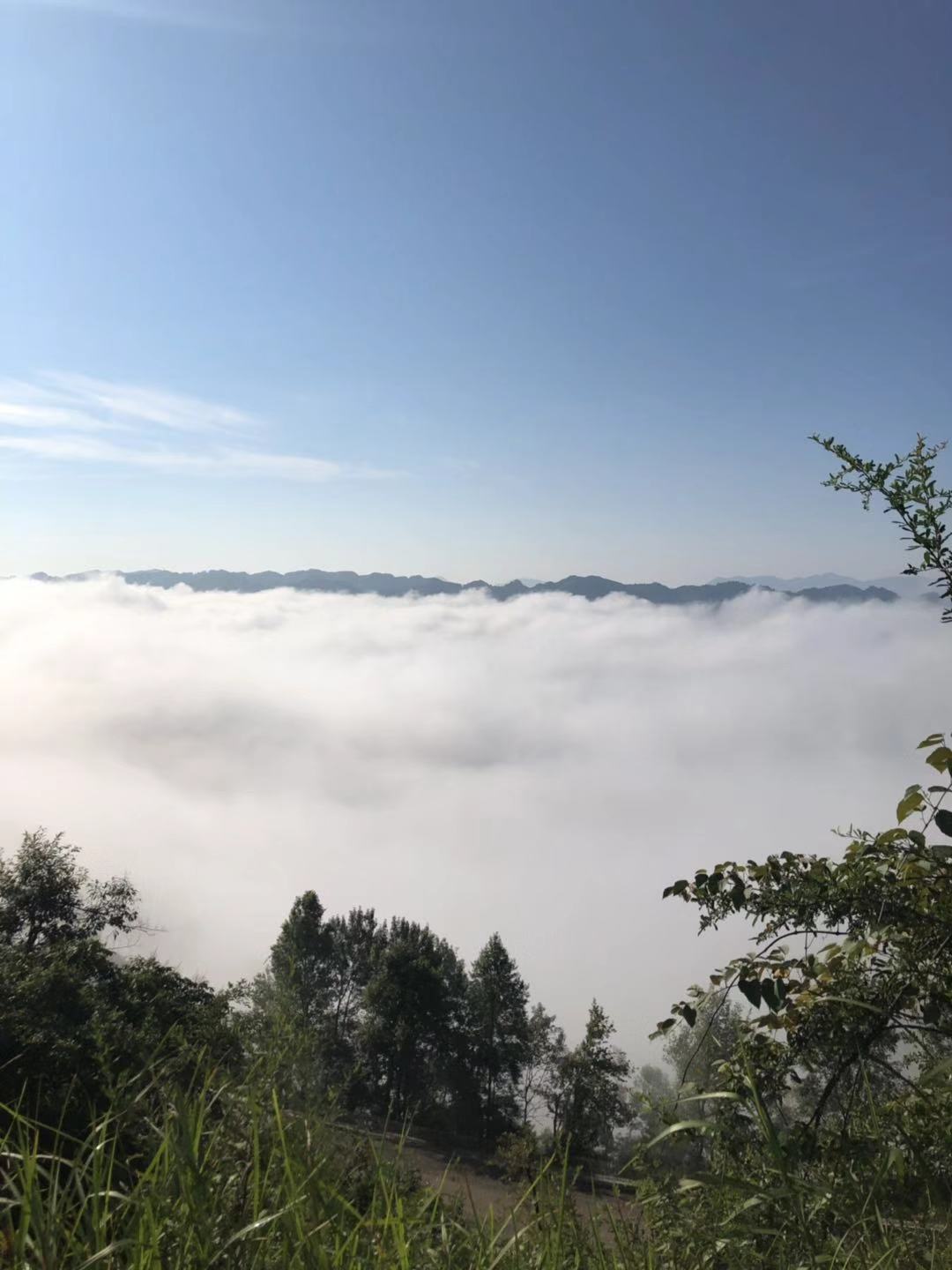 罗定龙湾风景区图片