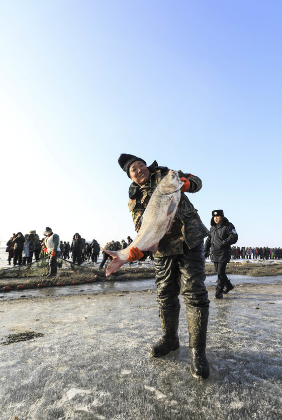 臥龍湖冬捕節頭魚拍出71萬高價 現場買賣火爆