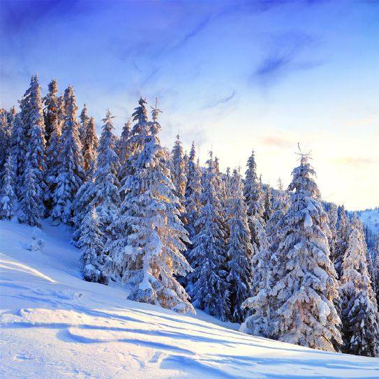 罗振宇:这种原因导致了中国人没有公共精神,听