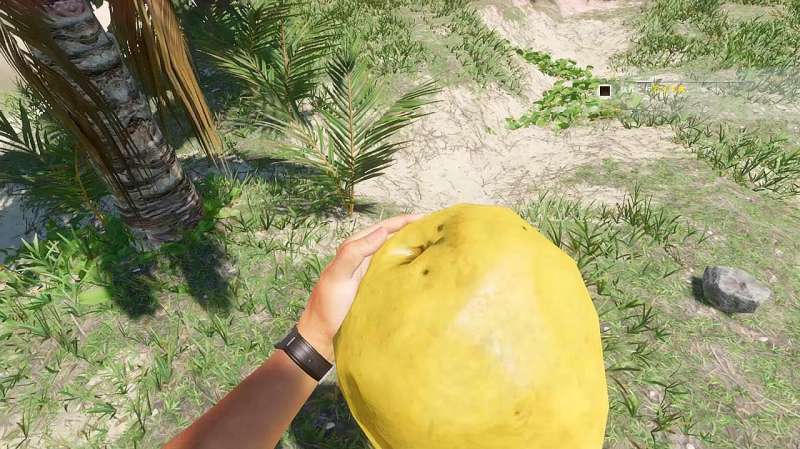 荒岛求生01：我接受了新的挑战，在太平洋的一片海域，生存100天