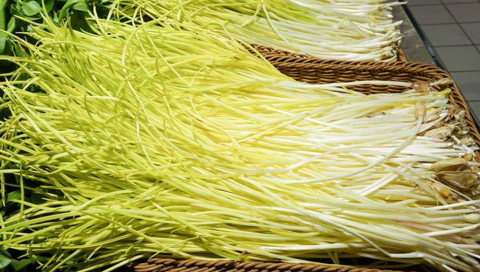 蒜黄指的是大蒜的幼苗,这5个蒜黄的种植方法,每一个都要知道!