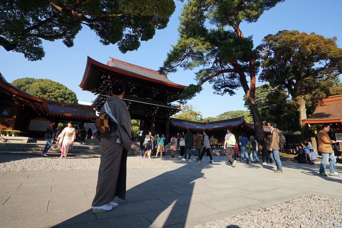 镰仓的鹤冈八幡宫是一座有着八百多年历史的神社,建于镰仓时代,承载着