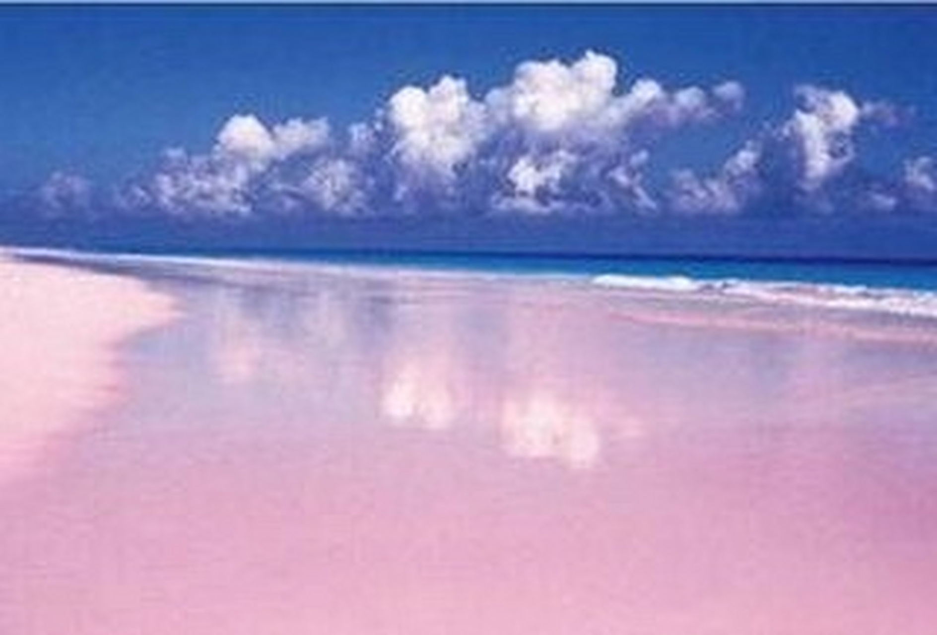 巴哈马群岛上哈勃岛的粉色海滩,最性感的海滩.