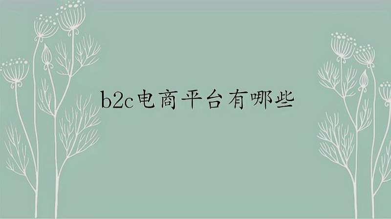 b2c电商平台有哪些?哪个比较好?