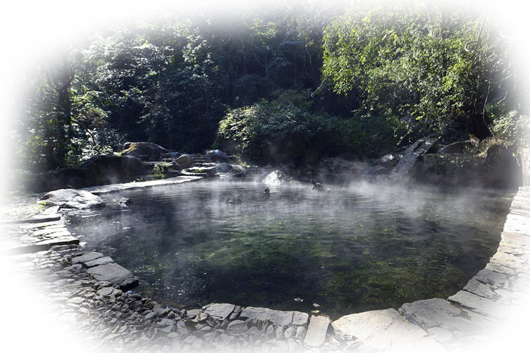高黎贡除了观鸟还有什么?百花岭野秘温泉绝对值得一探究竟