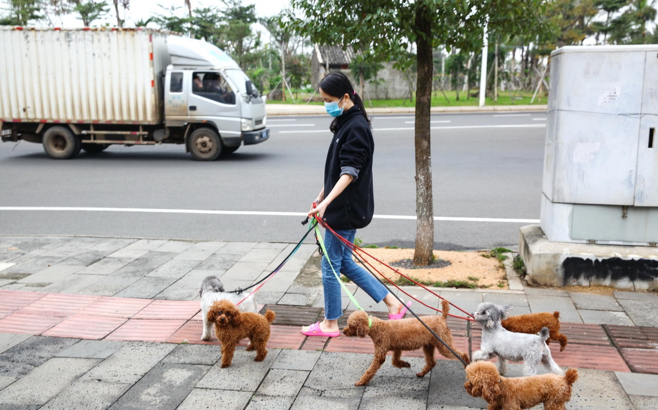 北京整治不文明行为,光膀子,遛狗进入黑名单,将处50元罚款