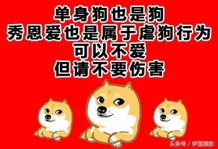 七夕关爱单身狗,人人有责