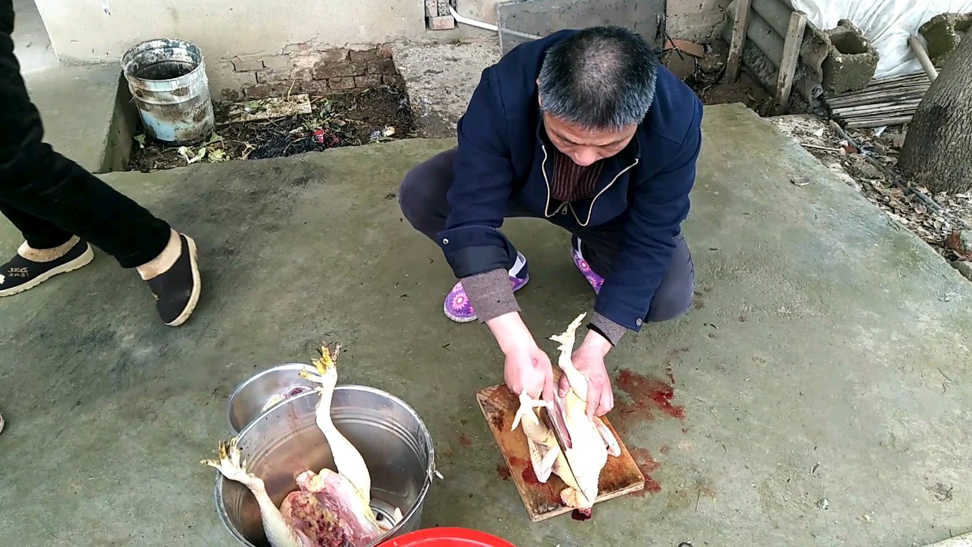 要过年了姥姥养的土鸡杀三只21斤,鸡油都有一盆,炒出来太美味了