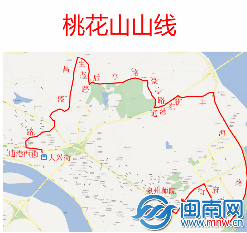 本周六起 泉州公交将开通桃花山山线定制公交