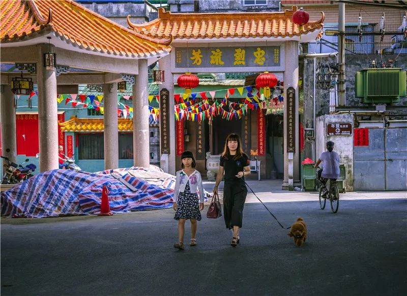 古巷老厝,小桥流水…记忆里的顺德水乡都在这里!
