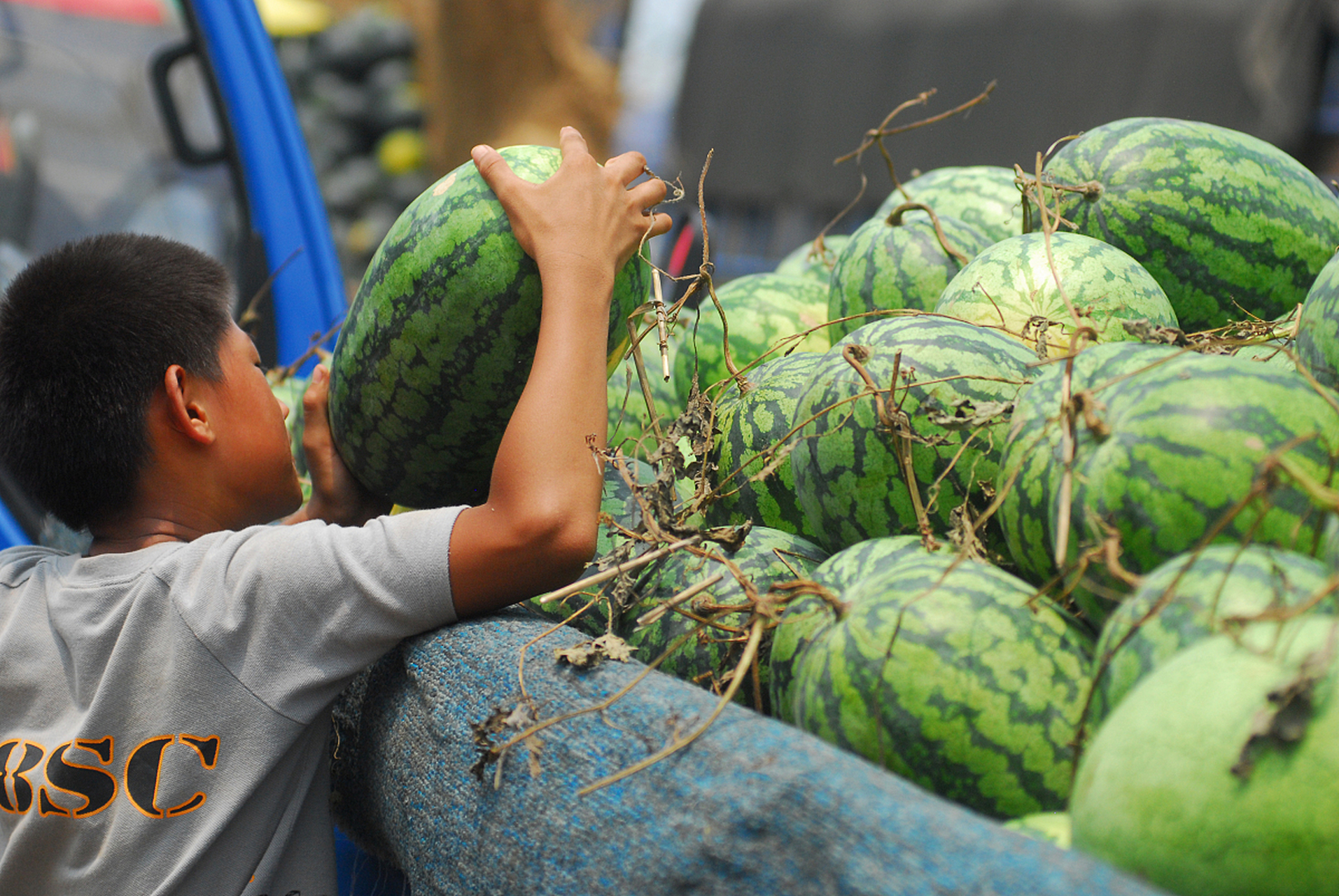 男子1天7次用假币骗卖瓜学生!公安局通报惊人内幕!