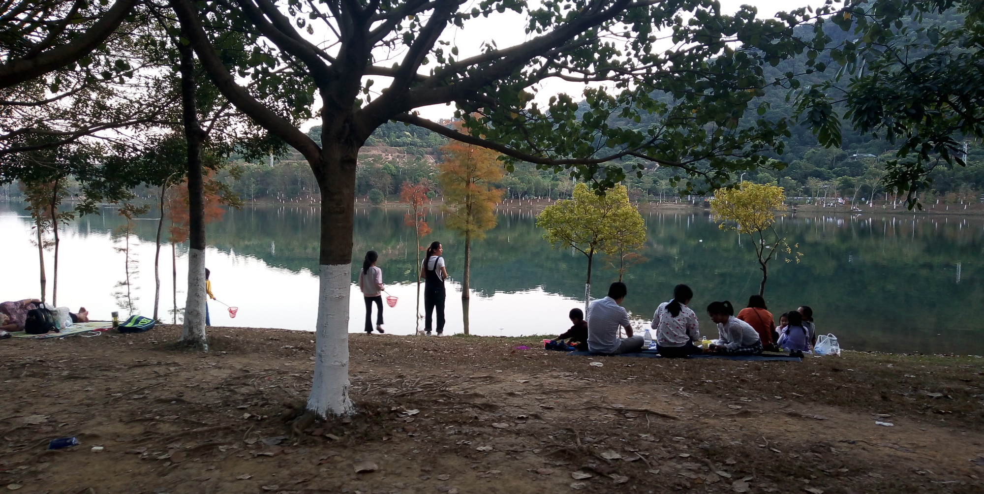 東莞鳳崗南門山森林公園實拍,帶你們去看看啦