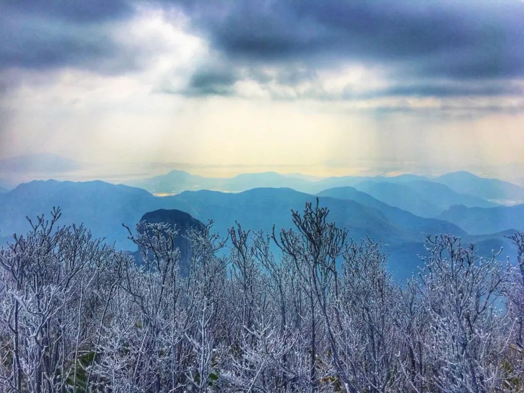 美呆!身邊雪景看不夠,去浙裡邂逅一個