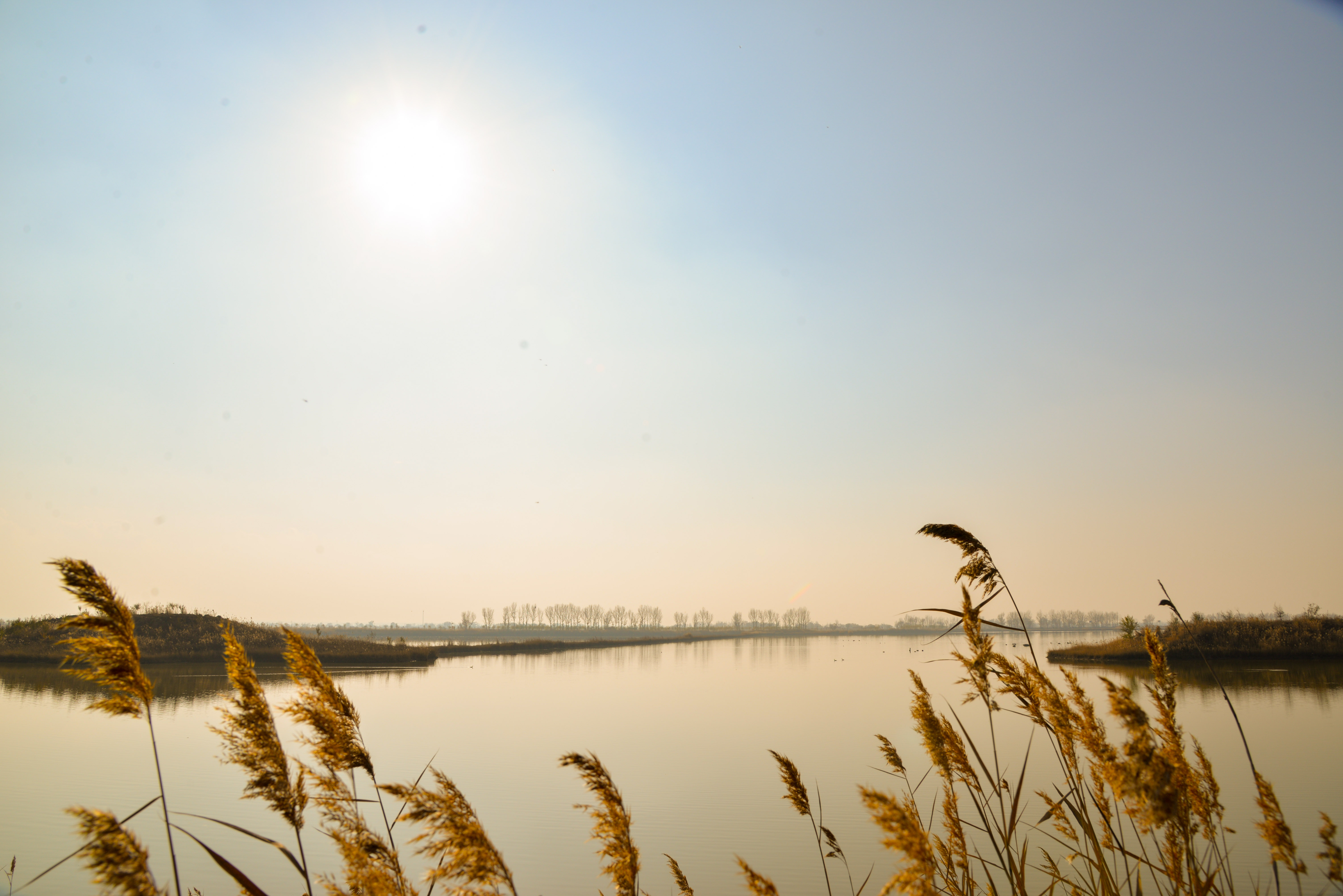 内蒙古托克托县:黄河两岸秋色美