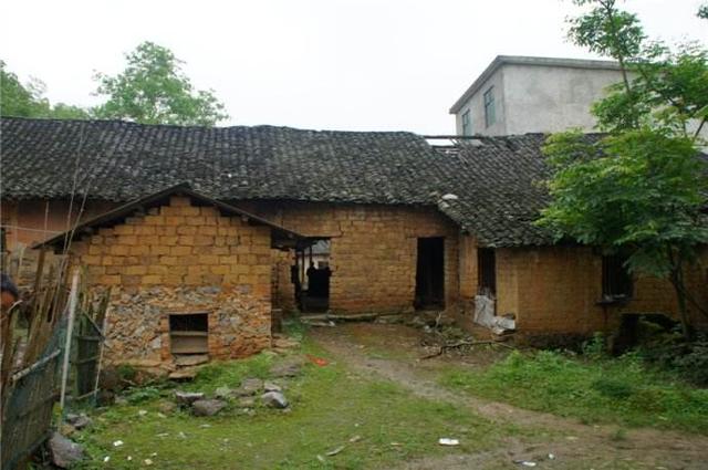 农村这四项补贴你领取了吗?还没有办理的下半年抓紧办了