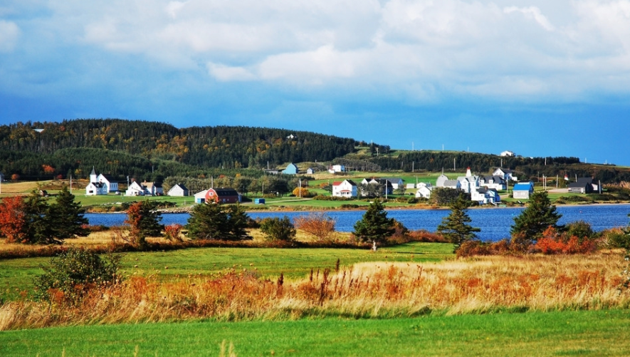 看了加拿大农村,网友:满满的差距